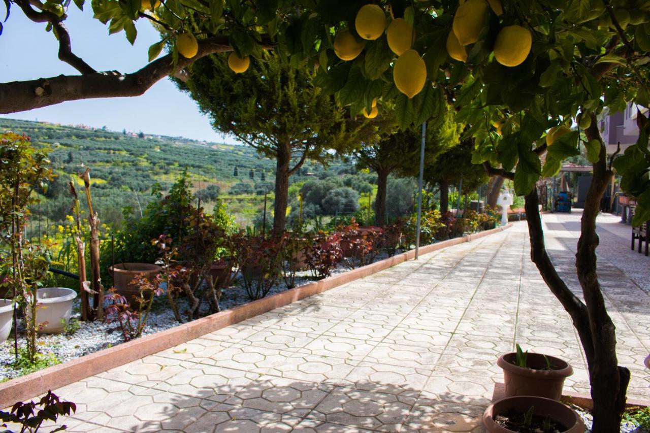 Aelia Holiday home Elia (Crete)