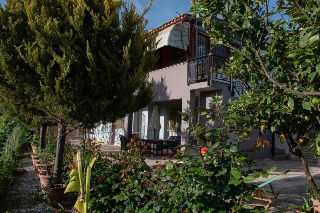 Aelia Holiday home Elia (Crete)