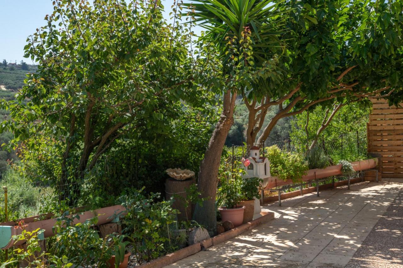Aelia Holiday home Elia (Crete)