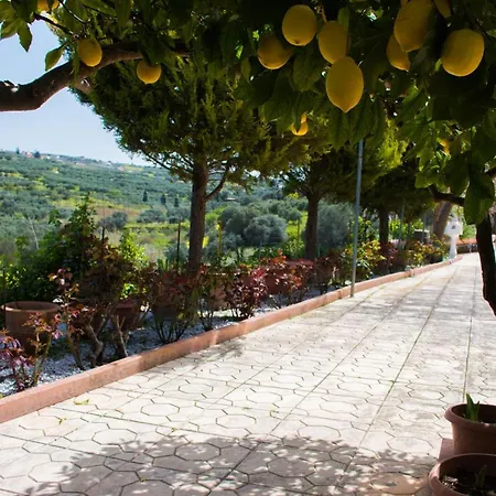 Aelia Home Elia (Crete) Exterior photo