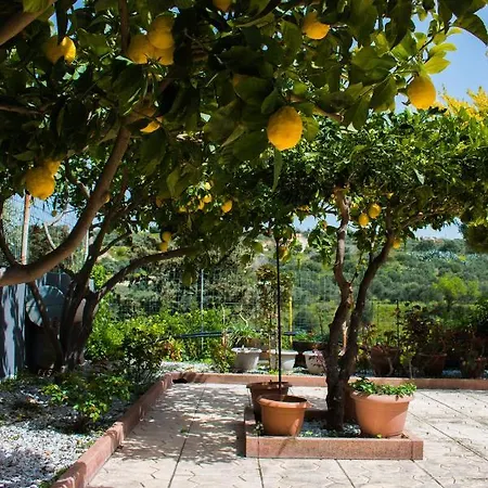 Aelia Home Elia (Crete) Exterior photo
